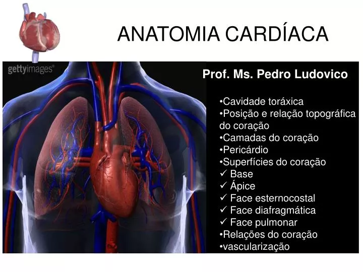 ANATOMIA DO CORAÇÃO Quiz