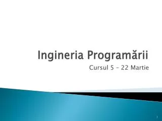 ingineria program rii