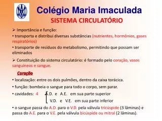 col gio maria imaculada