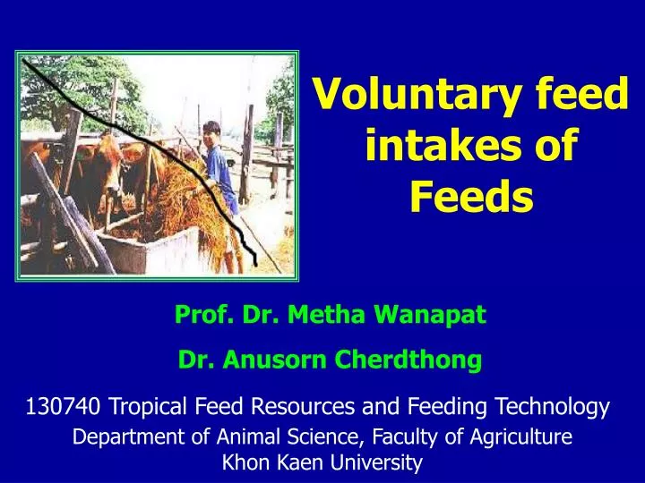 voluntary feed intakes of feeds