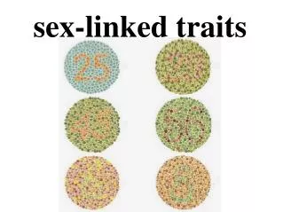sex-linked traits