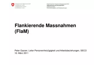 flankierende massnahmen flam