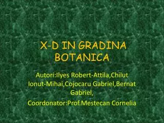 x d in gradina botanica