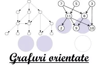grafuri orientate