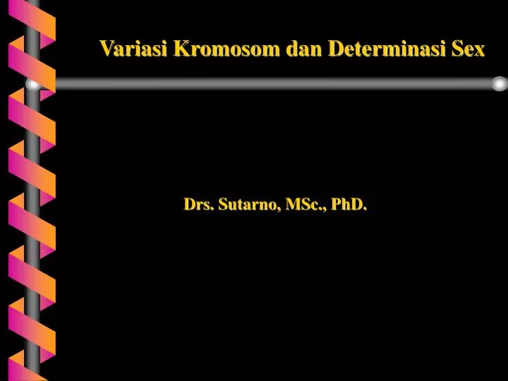 drs sutarno msc phd