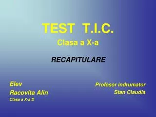 test t i c clasa a x a