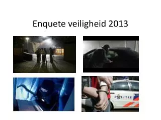 enquete veiligheid 2013