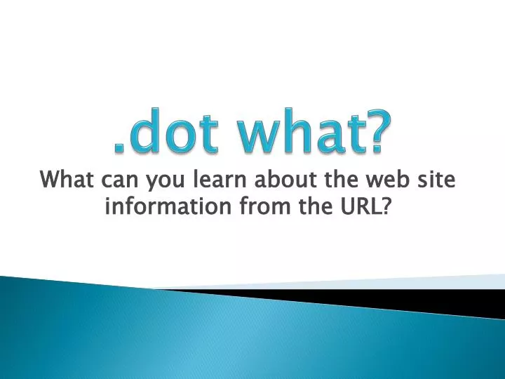 what can you learn about the web site information from the url