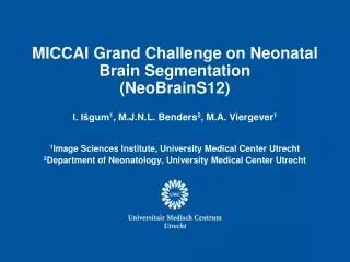 MICCAI Grand Challenge on Neonatal Brain Segmentation (NeoBrainS12)