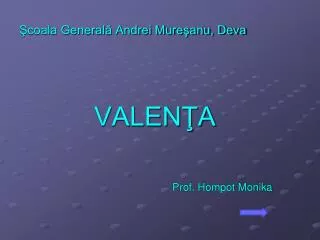 coala general andrei mure anu deva