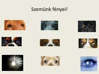 szem nk f nyei