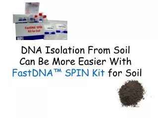 Soil DNA Isolation Helps In Genomic Study Of Soil Bacteria