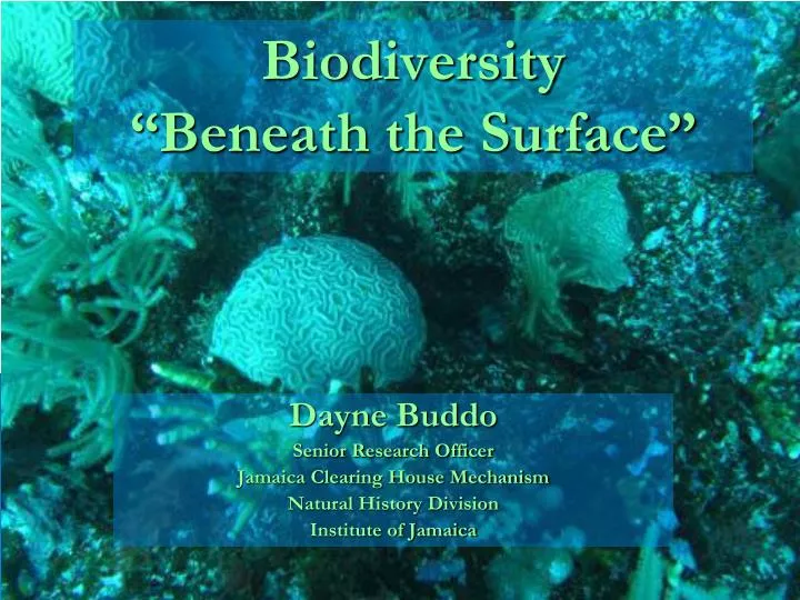 biodiversity beneath the surface
