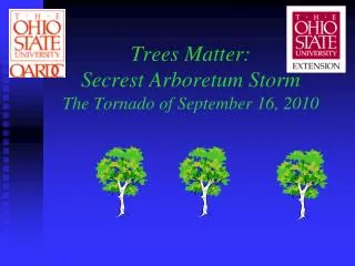 Trees Matter: Secrest Arboretum Storm The Tornado of September 16, 2010