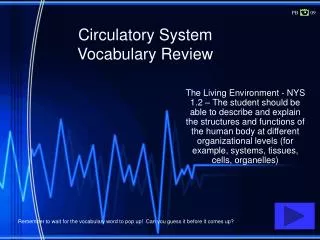 Circulatory System Vocabulary Review