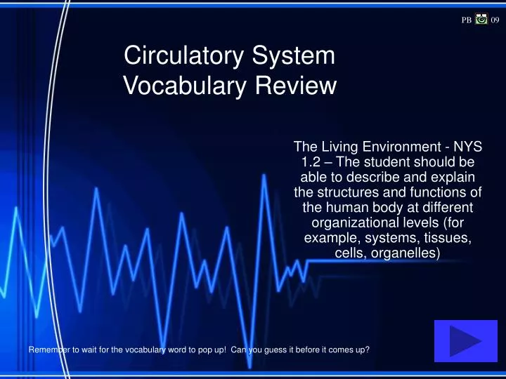 circulatory system vocabulary review