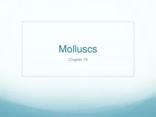 Molluscs
