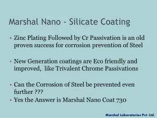 Marshal Nano - Silicate Coating
