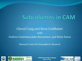 Subcolumns in CAM