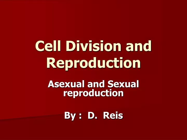 cell division and reproduction