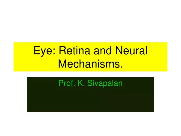eye retina and neural mechanisms