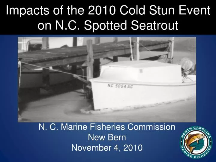 impacts of the 2010 cold stun event on n c spotted seatrout