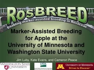 Marker-Assisted Breeding for Apple at the University of Minnesota and Washington State University