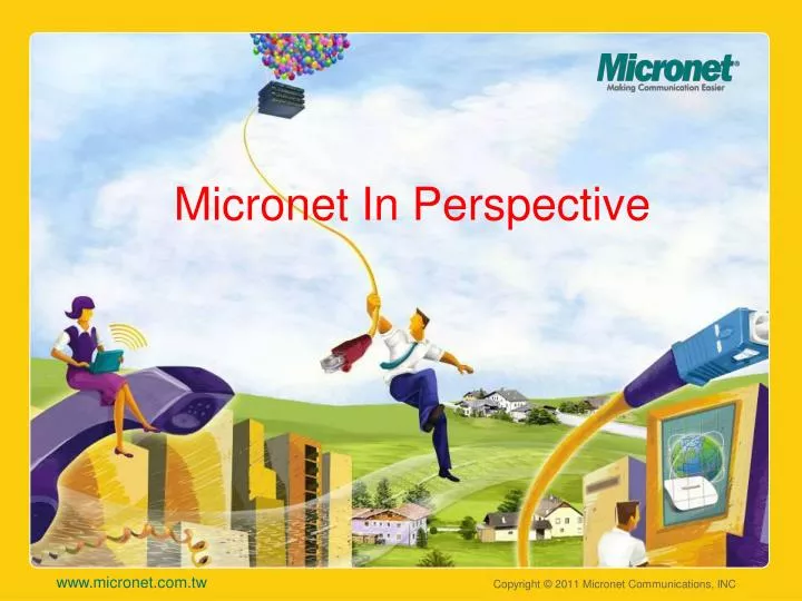 micronet in perspective