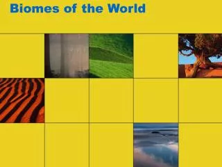 biomes of the world