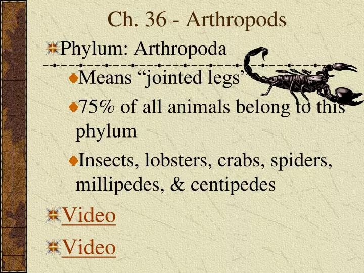ch 36 arthropods