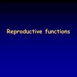 Reproductive functions - slide 1