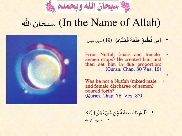 in the name of allah