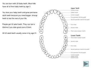 You are born with 20 baby teeth. Most kids have all of their baby teeth by age 3.