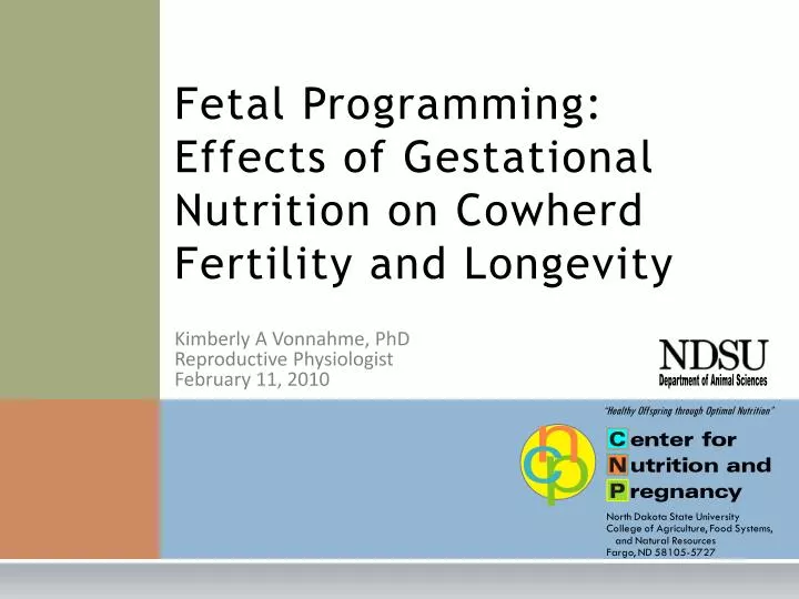 fetal programming effects of gestational nutrition on cowherd fertility and longevity