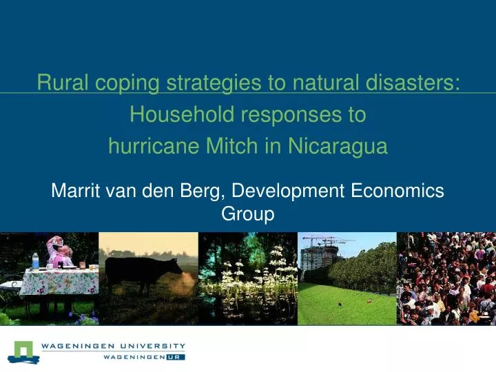 rural coping strategies to natural disasters household responses to hurricane mitch in nicaragua