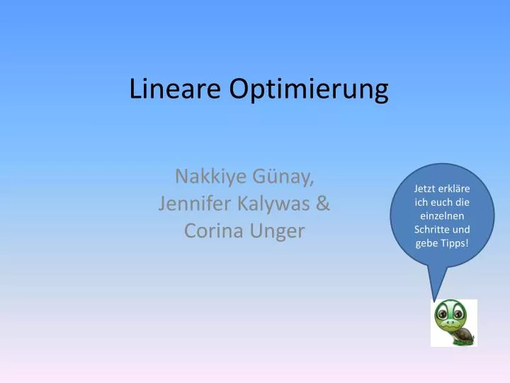 lineare optimierung