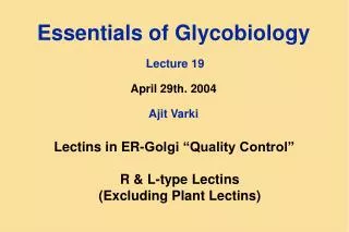 Essentials of Glycobiology Lecture 19 April 29th. 2004 Ajit Varki