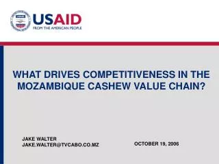 WHAT DRIVES COMPETITIVENESS IN THE MOZAMBIQUE CASHEW VALUE CHAIN?