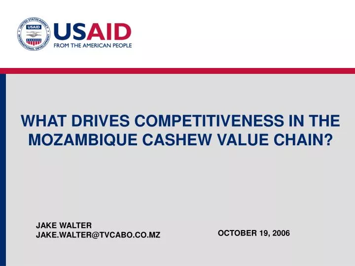 what drives competitiveness in the mozambique cashew value chain