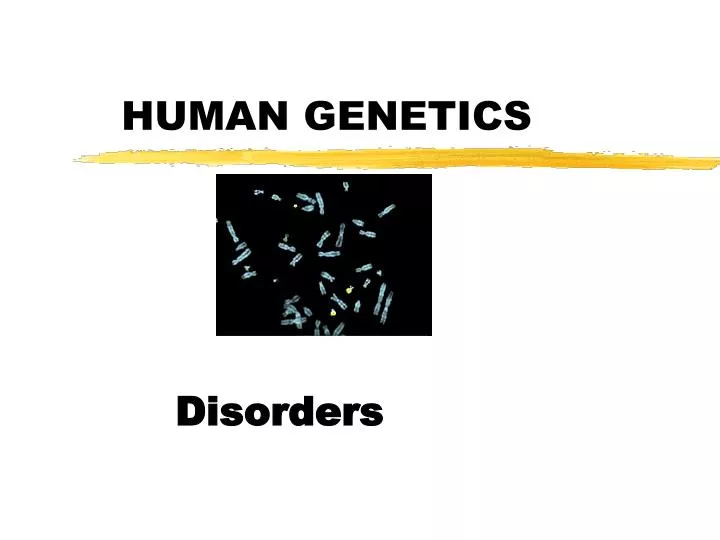 human genetics