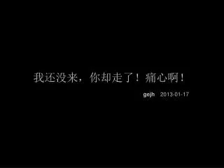 gejh 2013 01 17