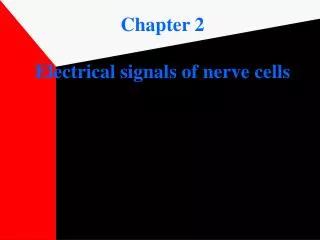 Chapter 2 Electrical signals of nerve cells