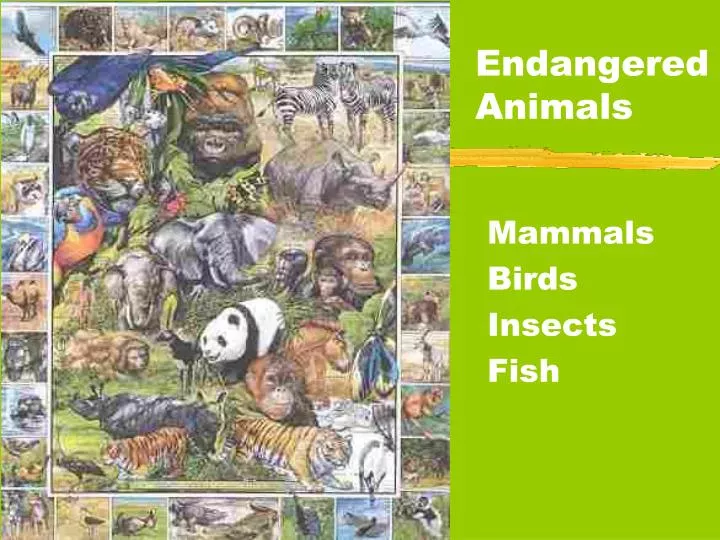 endangered animals