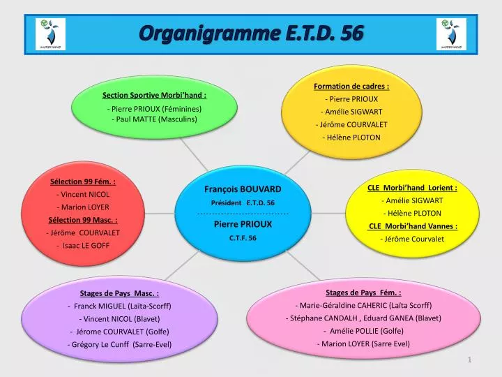 organigramme e t d 56