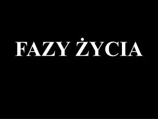 fazy ycia