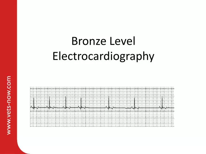 bronze level electrocardiography