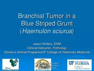 Branchial Tumor in a Blue Striped Grunt ( Haemulon sciurus )