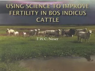 Using science to improve fertility in Bos Indicus cattle
