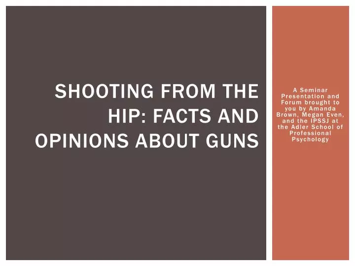 shooting from the hip facts and opinions about guns
