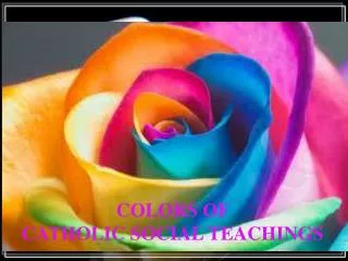 COLORS OF CATHOLIC SOCIAL TEACHINGS